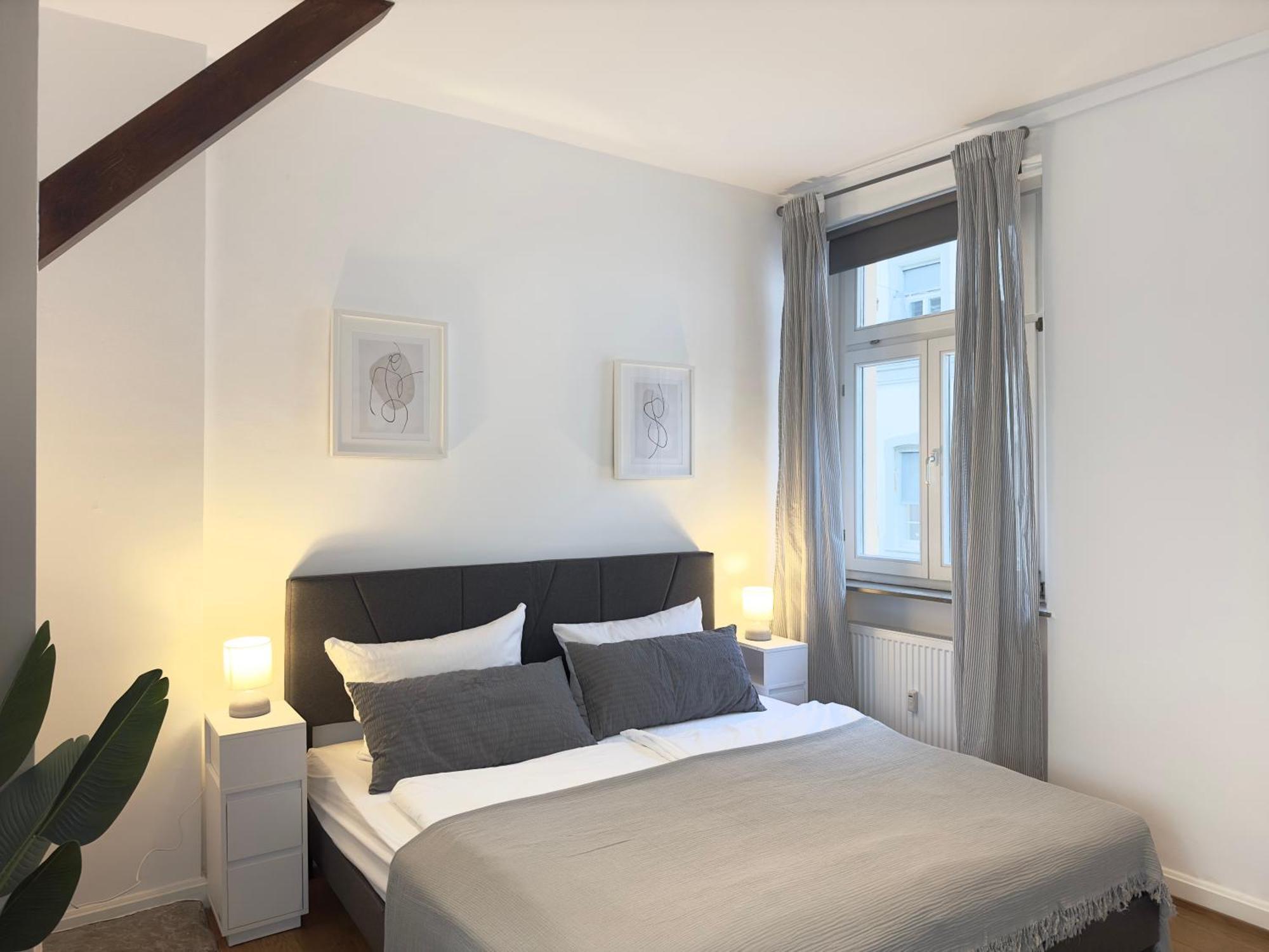 Luxury Old Town Suite - Xxl Terrasse & Xxl Penthouse Heidelberg Exterior foto