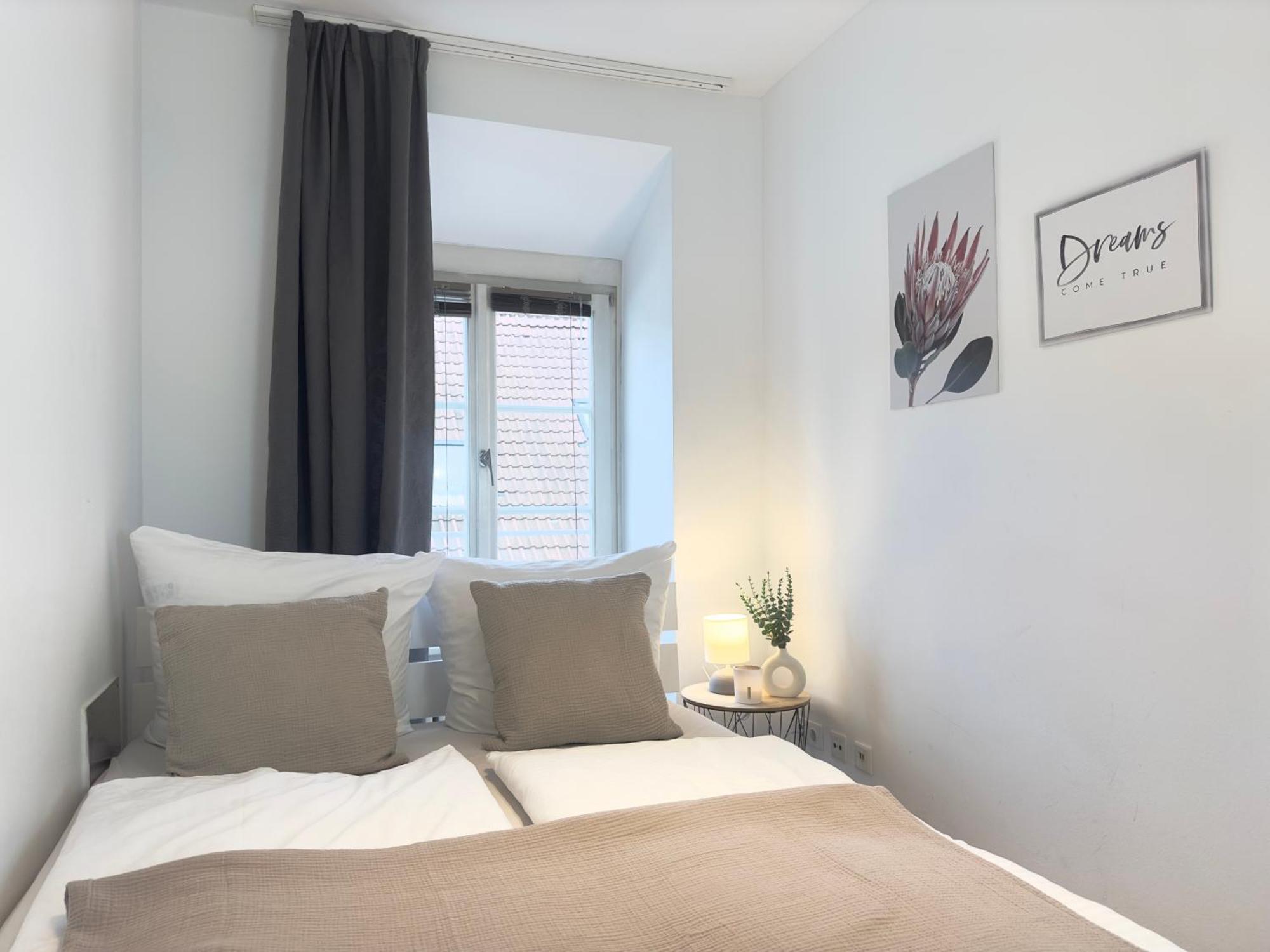 Luxury Old Town Suite - Xxl Terrasse & Xxl Penthouse Heidelberg Exterior foto